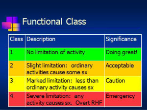 Functional Classification of Pulmonary Hypertension