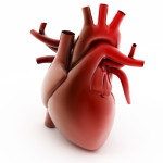 It is important to assess the right ventricle of the heart of PH patients