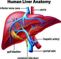 Portopulmonary hypertension